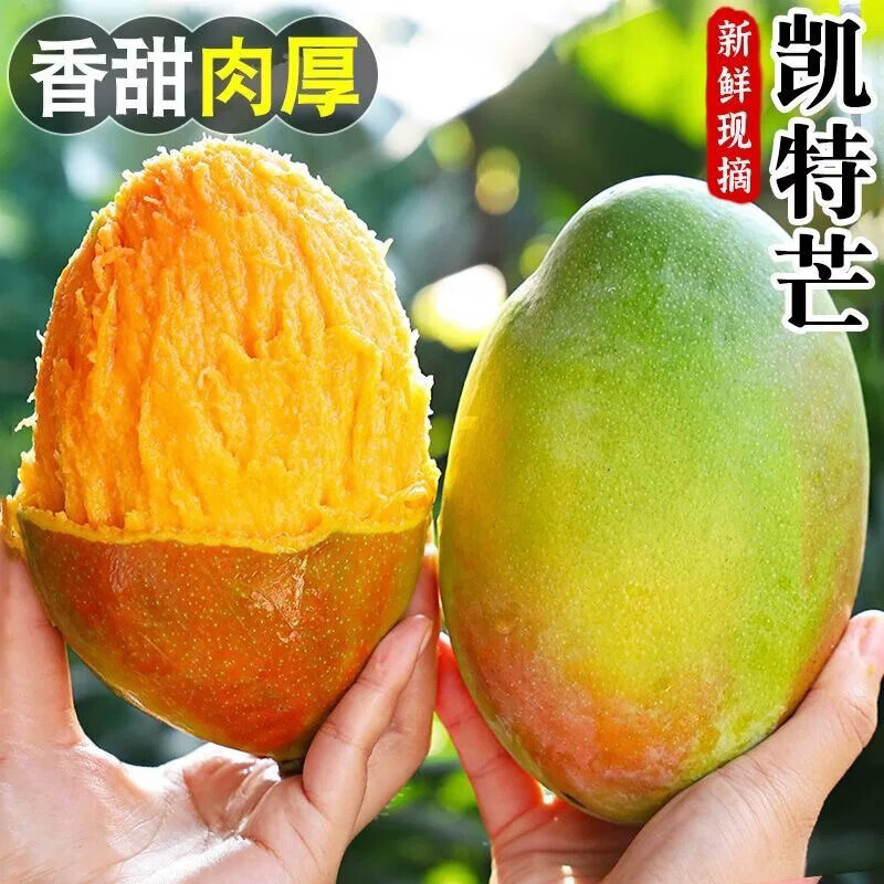 BUY攀枝花凯特芒青黄皮芒果新鲜当季热带水果生鲜源头直发 3斤 大果（500-600g）