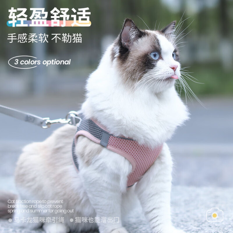 幼猫牵引绳宠物猫咪背心式胸抱婴袋外出英短溜猫专用绳猫链子防挣 绿拼灰+5米自动牵引绳 XXS【1-3斤】