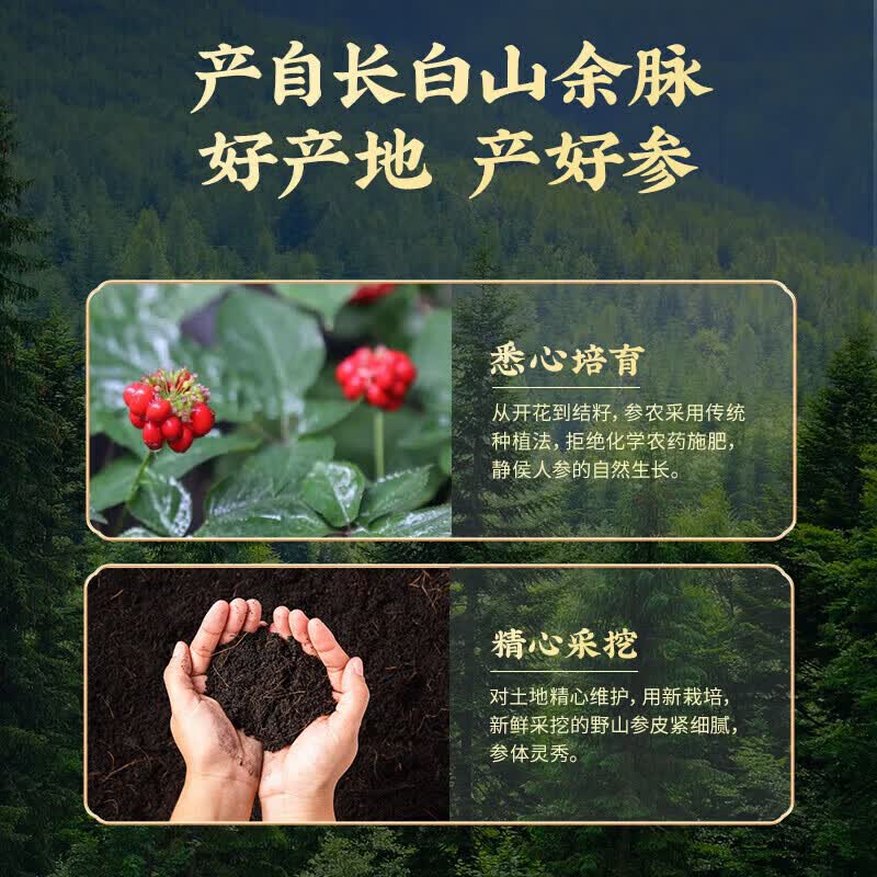 同仁堂(TRT)正宗野山参粉15年以上礼盒装 人参粉野山参长白山云岭 五盒礼盒精装送礼送长辈30g*5 30g*5盒