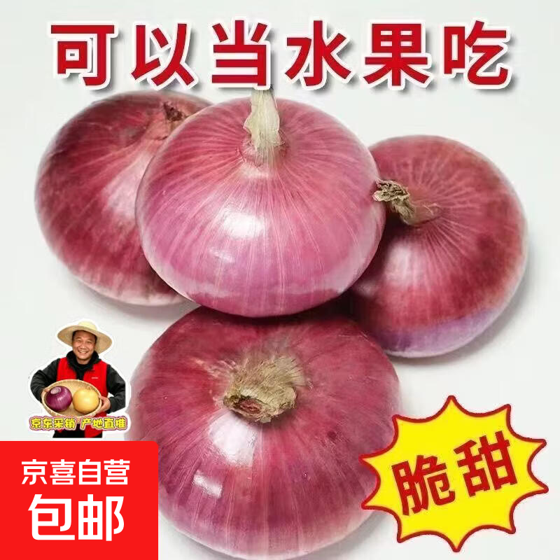 山东特产水果扁洋葱甜瓜口感红皮扁葱头生吃脆甜蘸酱好吃粉嫩 紫皮洋葱大果带箱 3斤净重2.5斤 精选