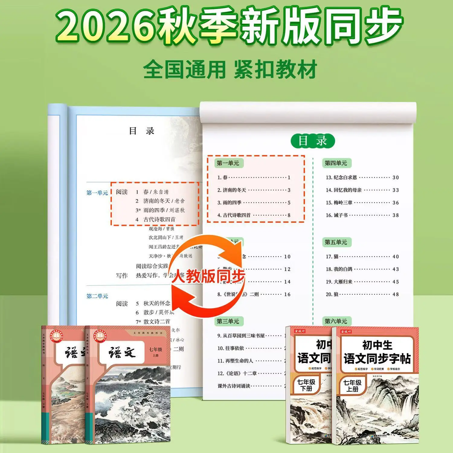 金枝叶七年级八年级同步练字帖上册下册初中生语文字帖人教版小升初每日一练初一初二楷书正楷描红练字本 七年级上册同步字帖