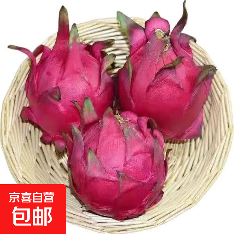 金都一号红心火龙果 新鲜当季红肉超甜新鲜水果 净重5斤装 单果400g+ 露天种植，皱皮属正常现象，不影响食用，果肉甜嫩