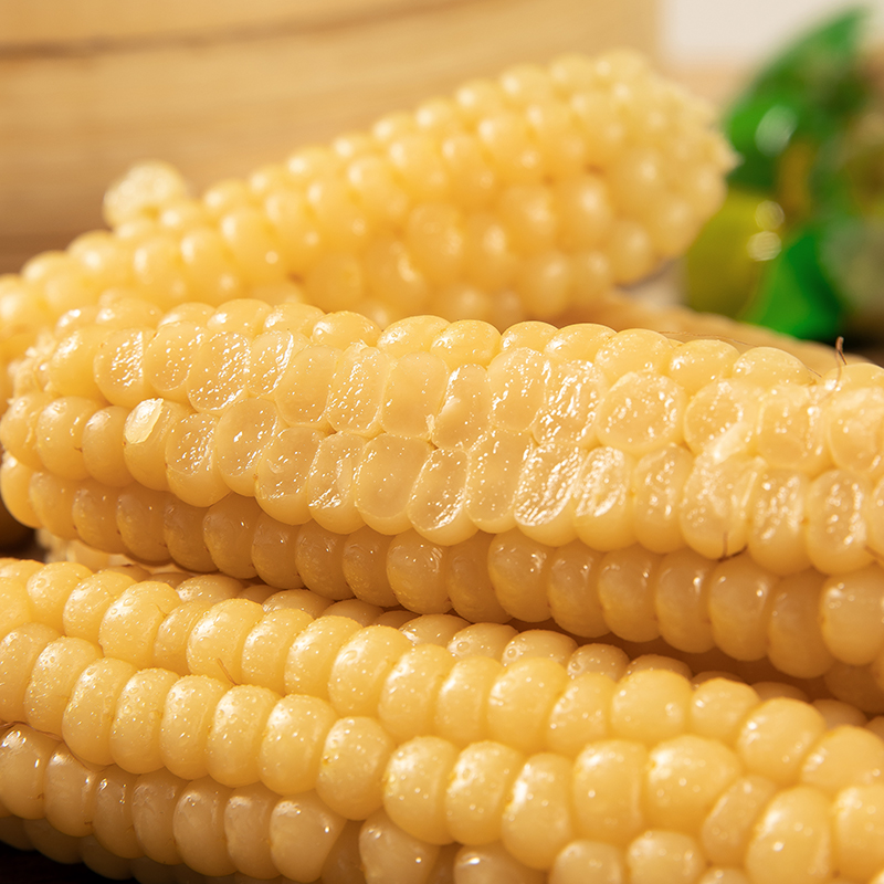 玫栀云南西双版纳手拇指小玉米迷你袖珍糯香甜老品种小拇指糯玉米【坏