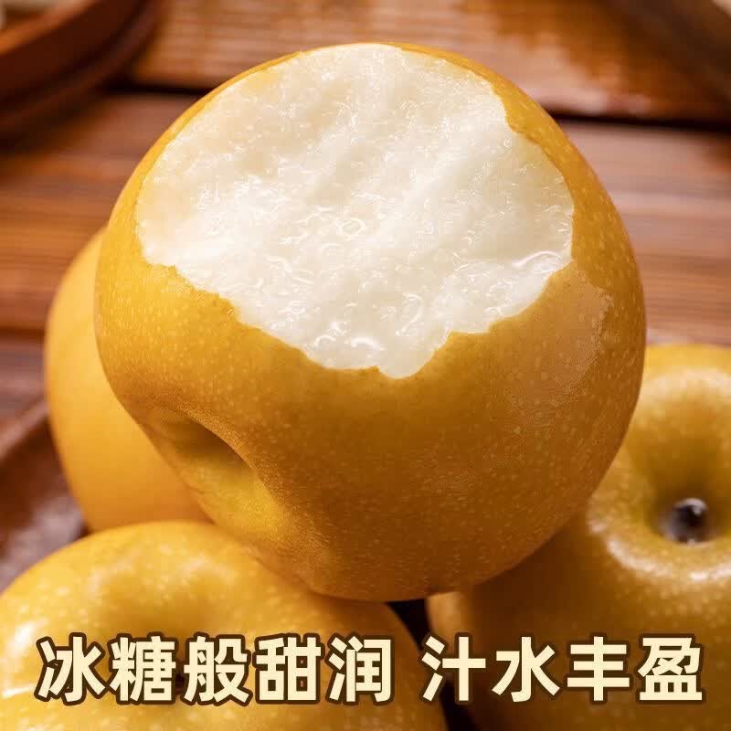 佟创山东秋月梨新鲜水果莱阳冰糖梨当季新鲜水果中秋送礼送人整箱 净重4.5斤普箱【单果300g+】