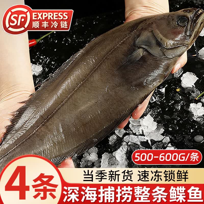 深海鲽鱼整条比目鱼冷冻碟鱼大鸦片鱼500-600g/条 偏口鱼海鲜水产 【深海捕捞】鲽鱼500-600g*4条