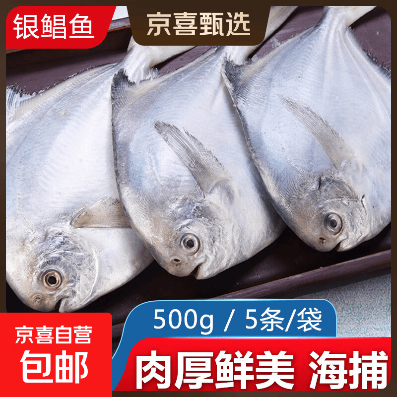 野生海捕银鲳鱼5-6条/斤新鲜冷冻批发海鲜水产白鲳鱼海鱼扁平鱼 野生海捕银鲳鱼500g/袋*2（10-12条）