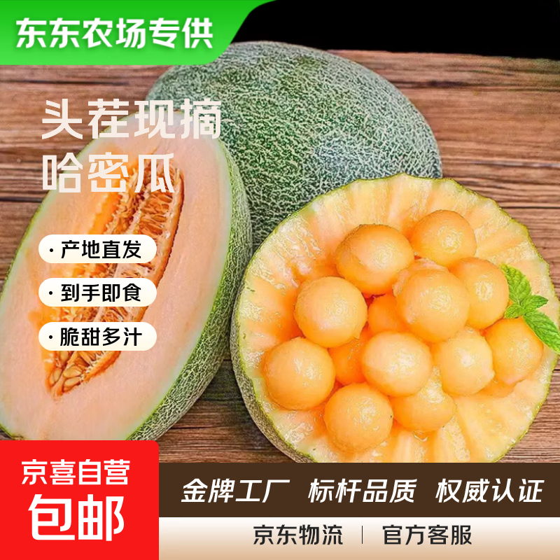 【东东农场专供】现摘现发哈密瓜晓蜜25号脆甜爽口 哈密瓜带箱5-6斤（1-2个）