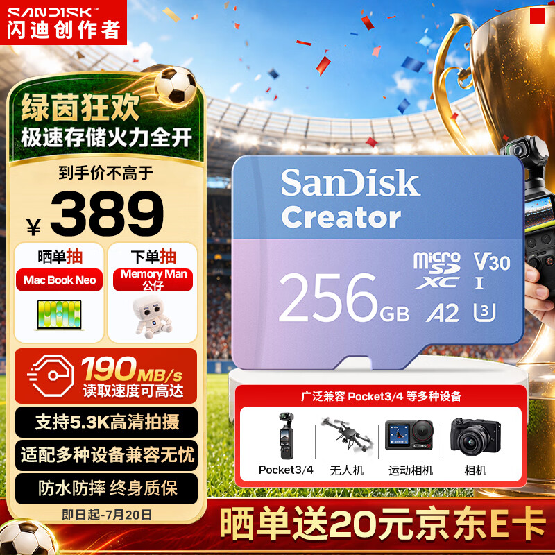 闪迪（SanDisk）创作者 闪迪内存卡TF卡 行车记录仪运动相机监控存储卡 运动相机大疆pocket3 4内存卡 V30极速粉卡 256GB 官方标配