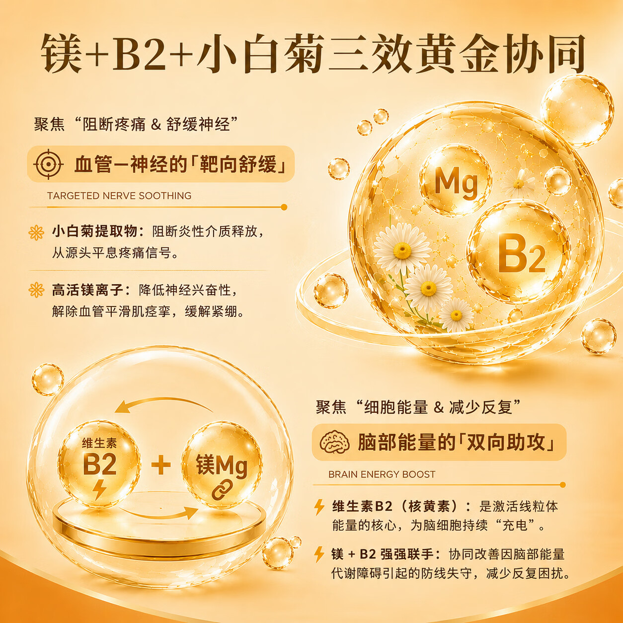 MigreLief【双11热销】美国进口迈立疏镁补剂预防缓解经期偏头痛调节情绪 预防舒缓月经性偏头痛【体验装】 60粒*1瓶