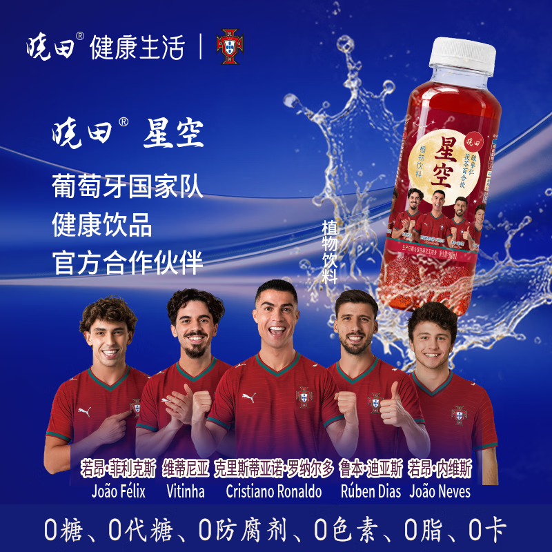 晓田星空酸枣仁茯苓百合饮0糖0脂0卡植物饮料整箱380ml*15瓶 380ml*15瓶