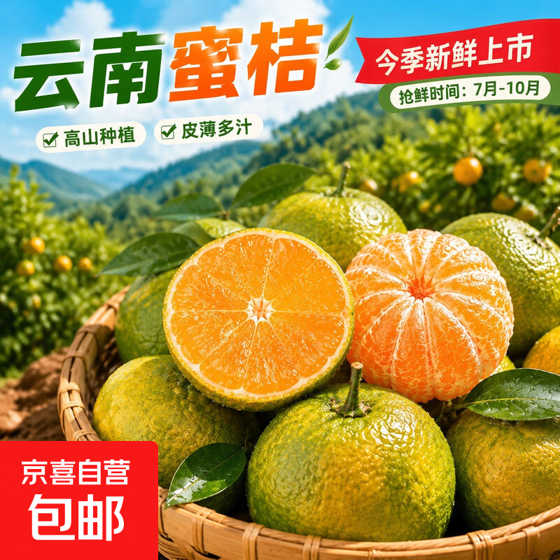 云南蜜桔 柑橘水果 脆甜多汁 源头直发 蜜橘青橘水果生鲜橘子 净重3斤 单果50mm+