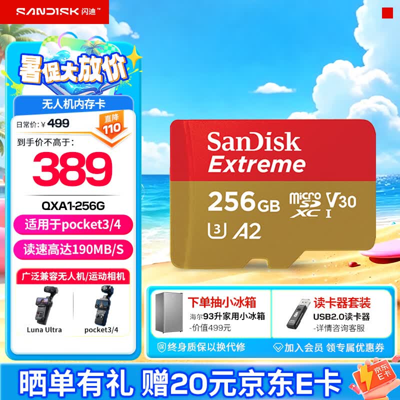 闪迪（SanDisk）内存卡存储tf卡运动相机卡高速gopro相机无人机内存卡MicroSD卡u3/v30 适用于适用pocket4 256G 【联系客服送读卡器入会领10元券】