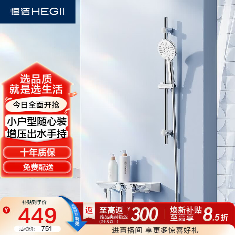 恒洁（HEGII）淋浴花洒 贴墙置物分体小户型卫生间增压花洒DMF972-313