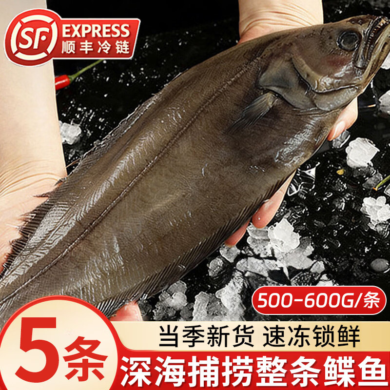 深海鲽鱼整条比目鱼冷冻碟鱼大鸦片鱼500-600g/条 偏口鱼海鲜水产 【深海捕捞】鲽鱼500-600g*5条
