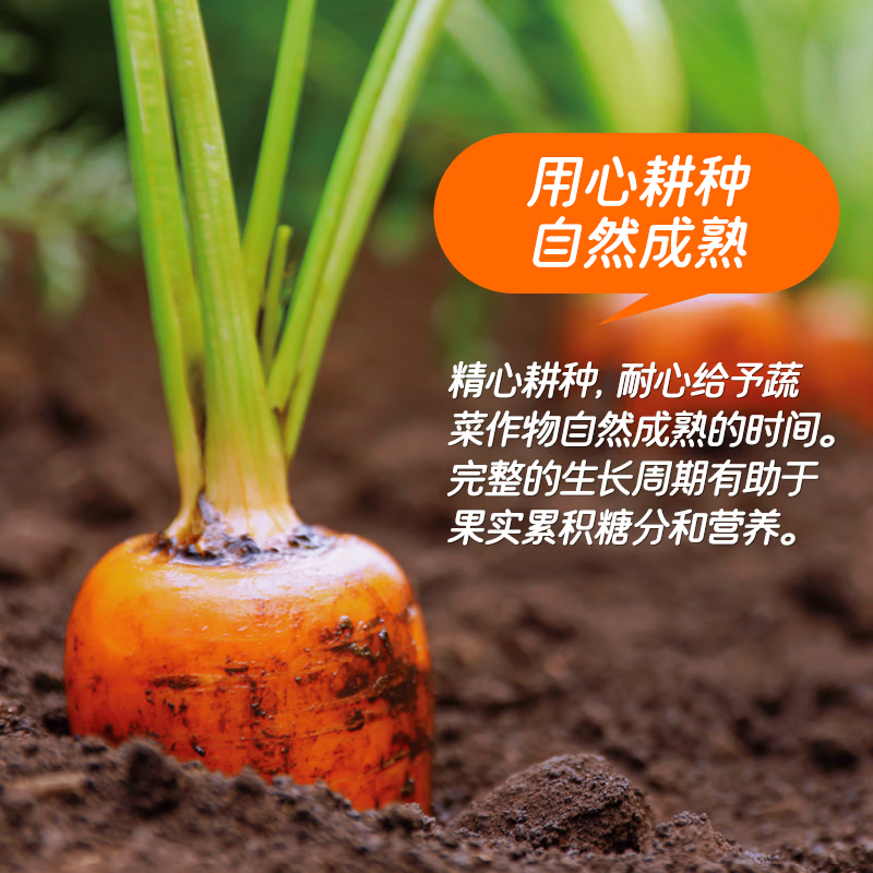 可果美日本进口100%胡萝卜汁整箱装果蔬汁健康饮料冷藏蔬菜汁轻断食 100%胡萝卜汁200ml*12盒