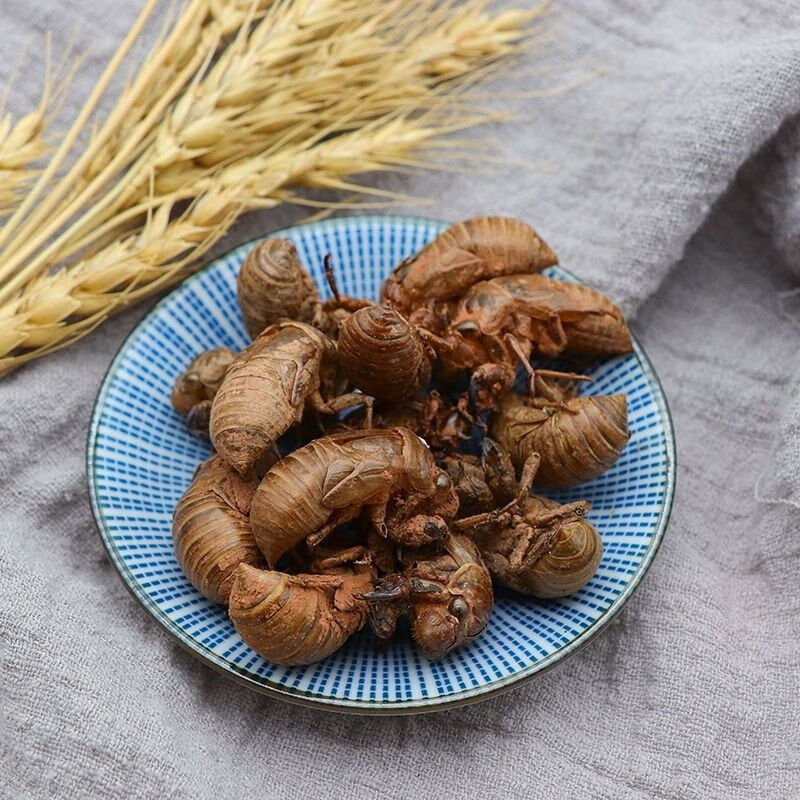 北京同仁堂蝉蜕中药材蝉蜕粉衣壳虫蜕退猴壳金蝉衣