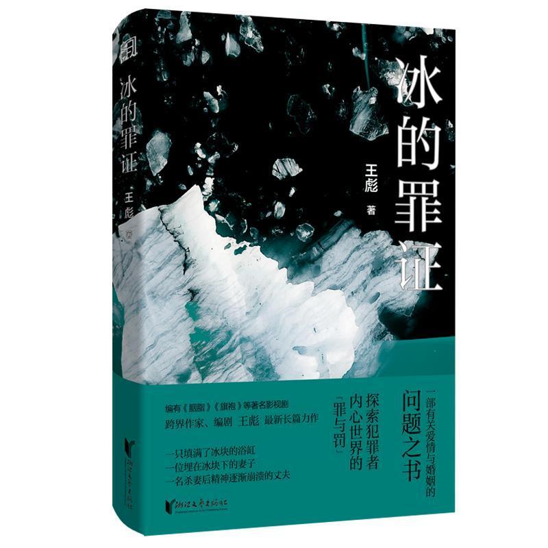 冰的罪证小说  图书