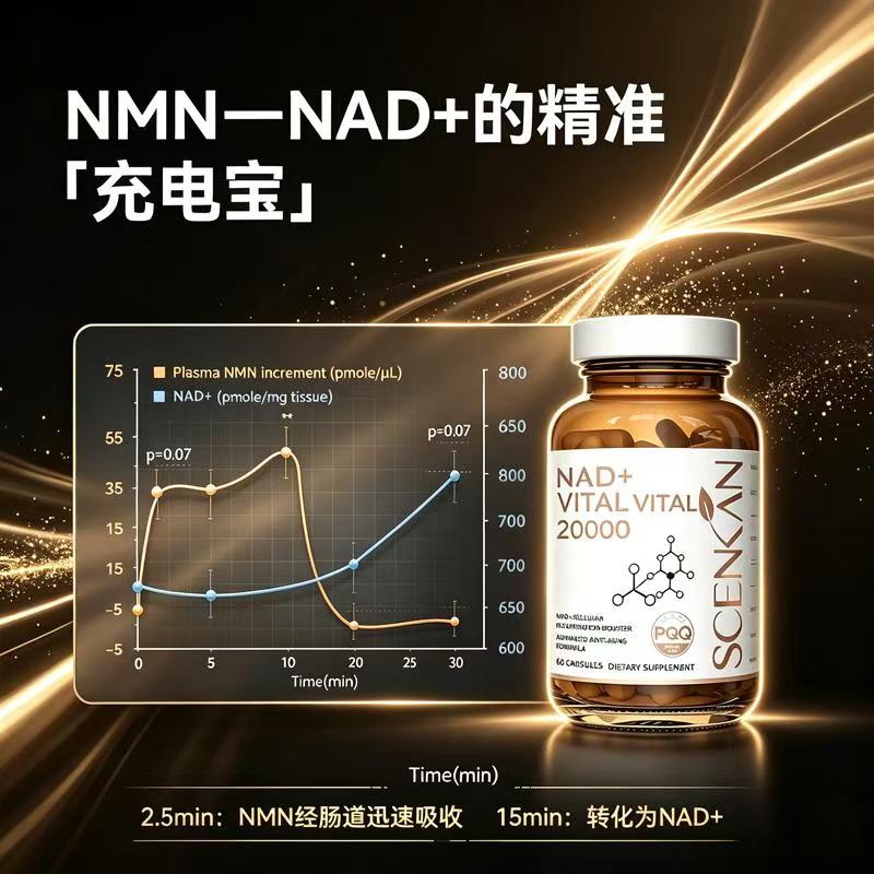 Scenkan美国原装进口nmn抗衰NAD+20000β-烟酰胺单核苷酸pqq麦角硫因胶囊 [买6瓶送2长效装] 60粒*8瓶