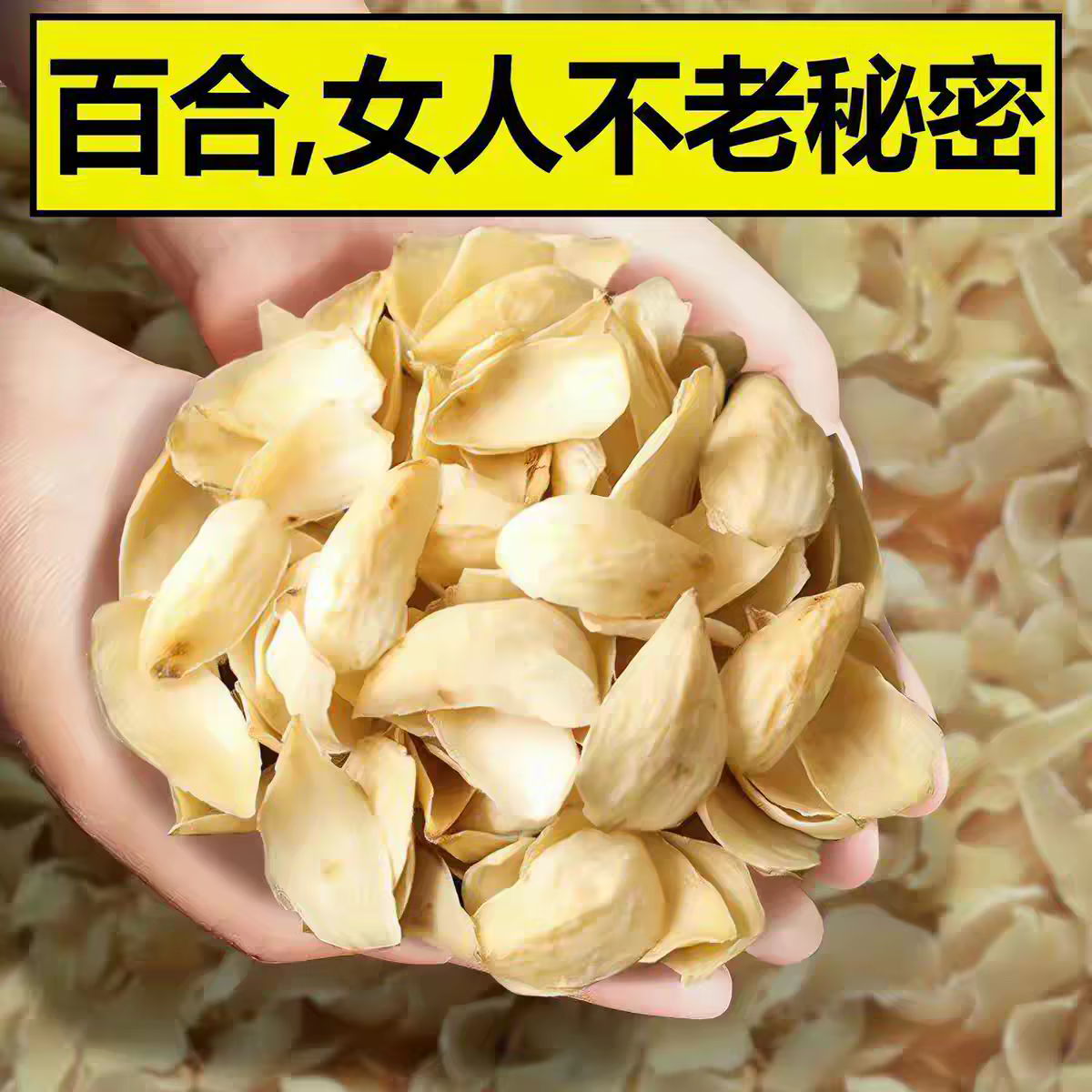 北沐晨【正宗龙山百合干】天然无硫百合干泡水煲汤食用500g片大肉厚干净 精选百合干 250g*1袋 【净重】