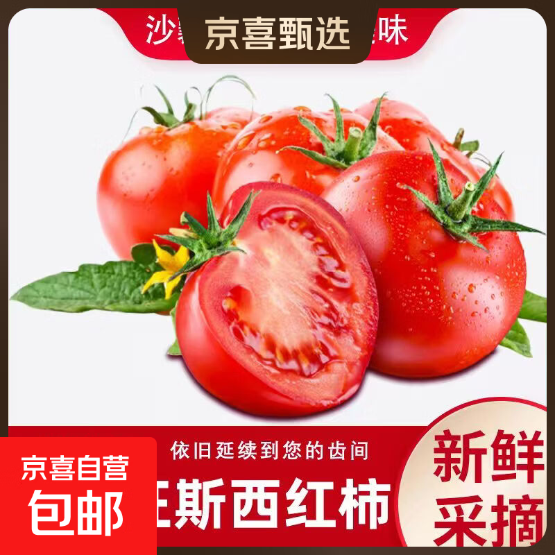 新鲜普罗旺斯彩箱沙瓤云南高原西红柿水果番茄即食沙拉蔬菜生鲜 普罗旺斯西红柿 5斤 净重