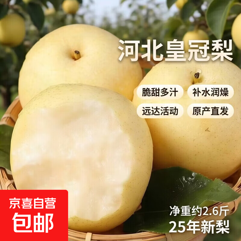 25年新梨河北皇冠梨产地直发脆甜多汁梨子小花皮远达活动专享 皇冠梨带箱3斤净重2.6斤单果150g
