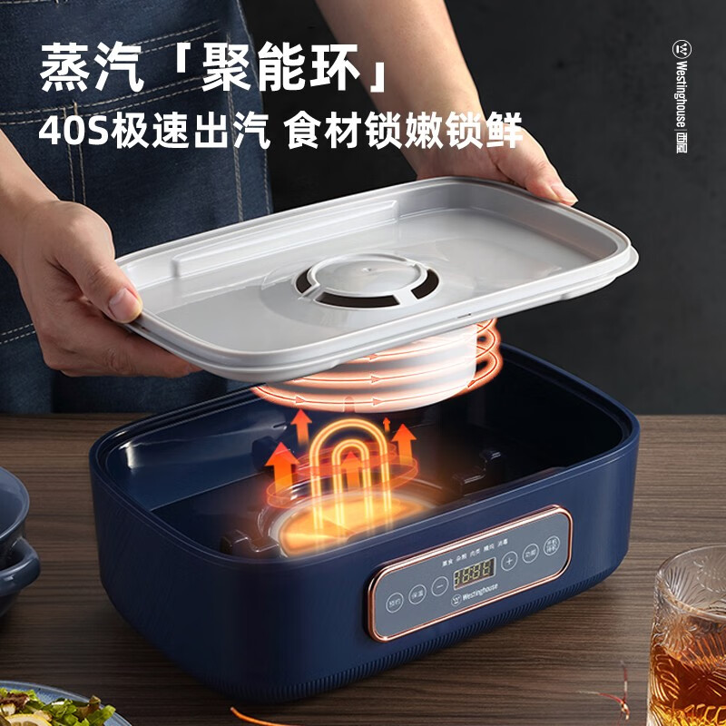 西屋（WESTINGHOUSE）家用电蒸锅 电蒸锅预约电煮锅电炖锅多用途锅 燕窝炖汤WZL121 WZL121