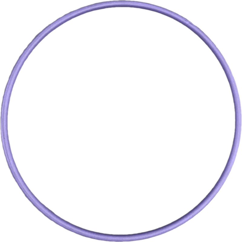 ϿٯȦ׶԰СŶͯոGYMEɫ65cm 1704287