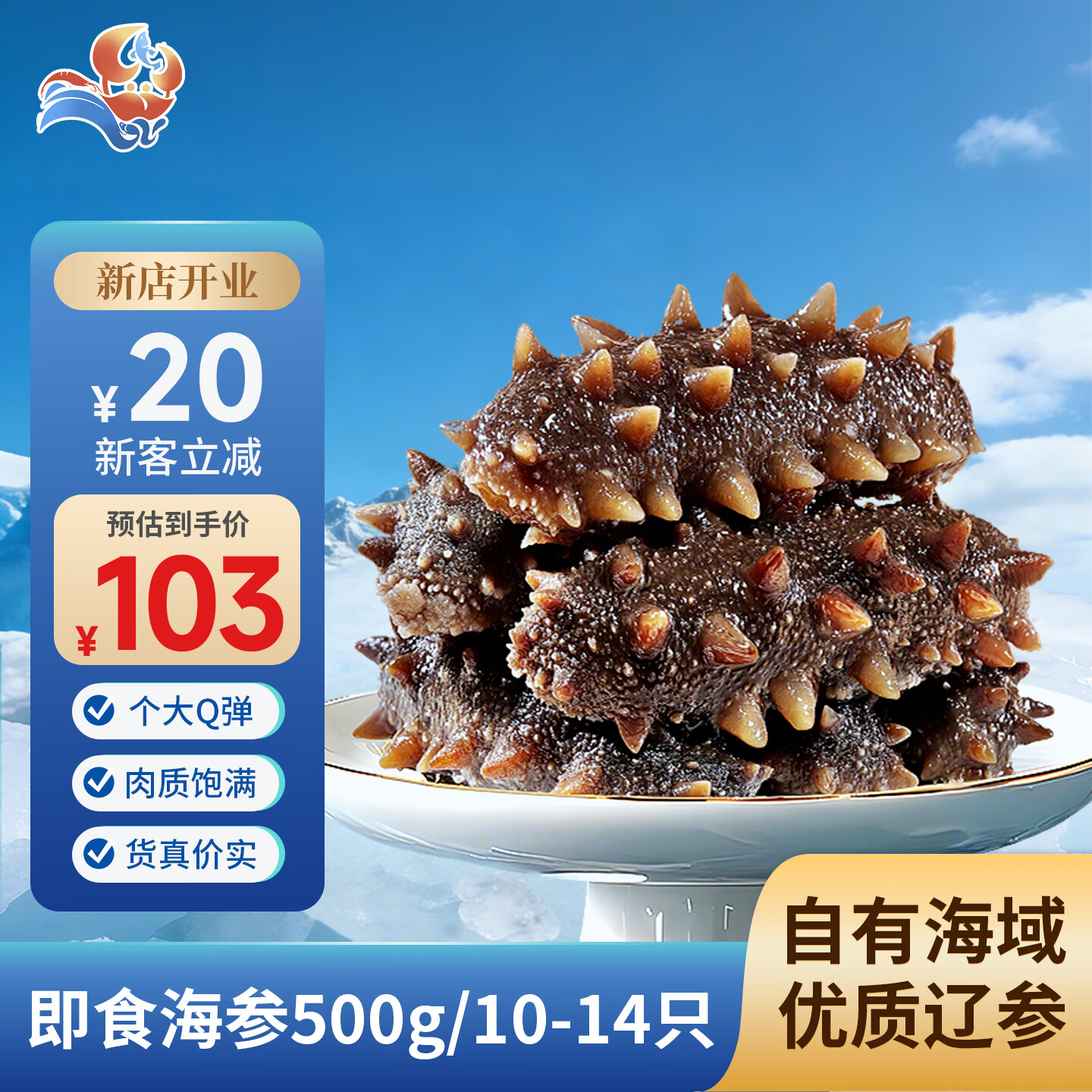 密北渔场即食海参500g 大连优质辽参10-14只（35-50g/只）源头直发