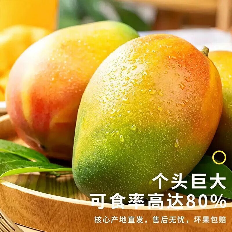 BUY攀枝花凯特芒青黄皮芒果新鲜当季热带水果生鲜源头直发 3斤 大果（500-600g）