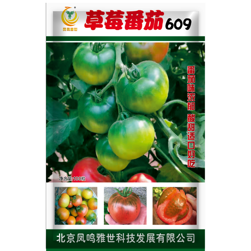 鳳鳴雅世  草莓鐵皮番茄綠腚番茄鷹爪柿子綠腚西紅柿種子種籽早熟沙瓤四季 609草莓番茄種子10粒