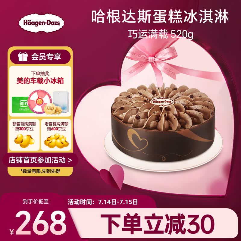 哈根达斯巧运满载蛋糕冰淇淋 520g/6寸 生日蛋糕  配送上门