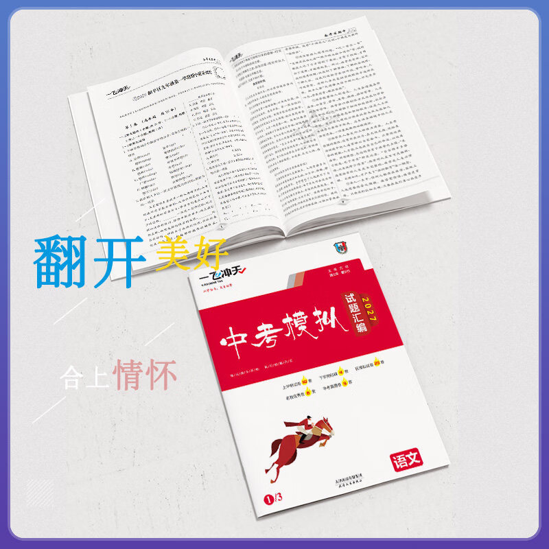 【天津发货后次日达】一飞冲天2027天津中考 2027天津一飞冲天中考模拟试题汇编真题卷全套语文数学英语物理化学历史政治 中考专项总复习历年真题试卷初三九年级 27版【中考模拟+专项】语数英6本
