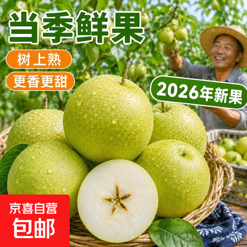 【东东农场专供】安徽砀山酥梨  酥嫩化渣蜜甜清爽新鲜水果现摘 青皮梨带箱10斤（净重9斤） 单果200g+（商超品质）