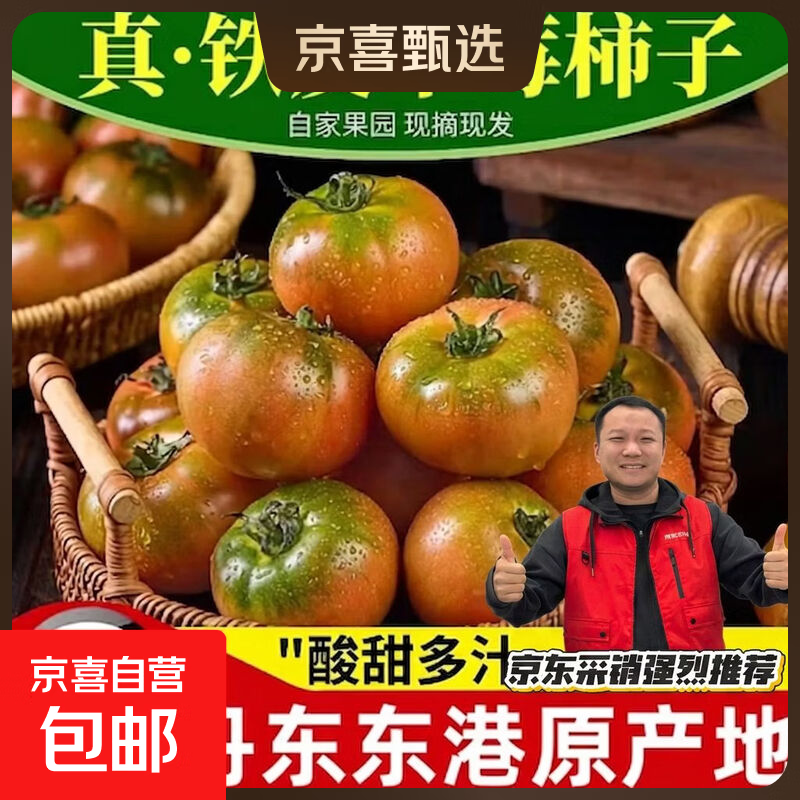 丹东草莓西红柿铁皮柿子水果味番茄产地直发新鲜蔬菜生鲜 净重 5斤 家庭装