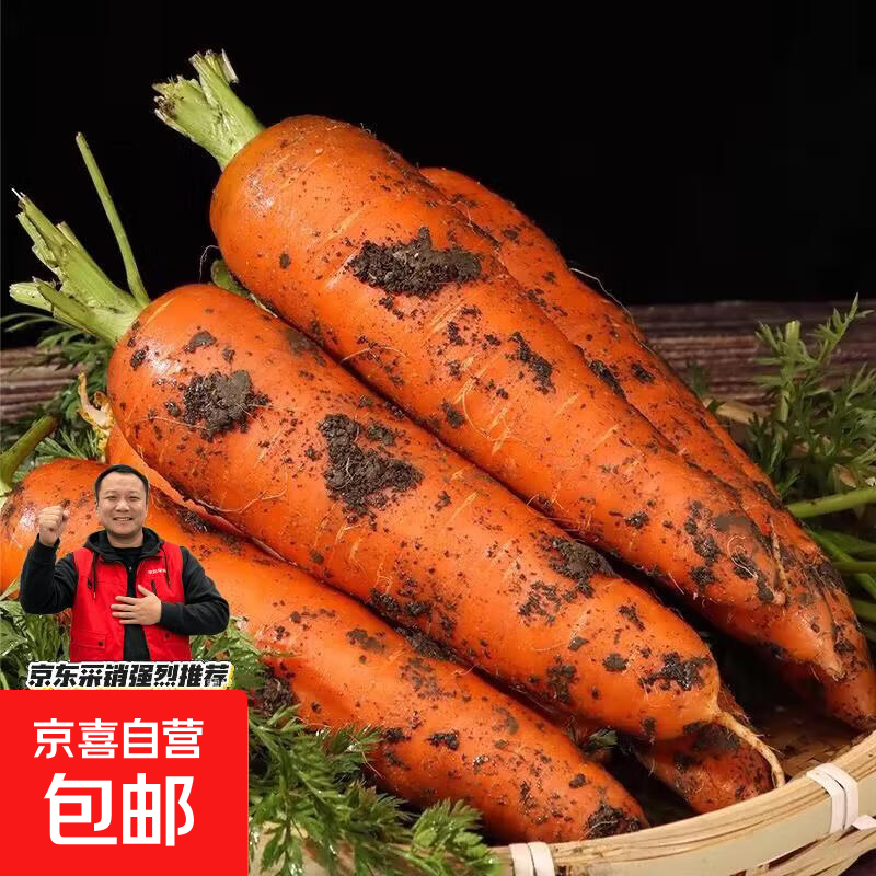京喜加山东新鲜胡萝卜水果胡萝卜现挖现发蔬菜水果沙地红萝卜减脂 带泥胡萝卜2斤 含箱