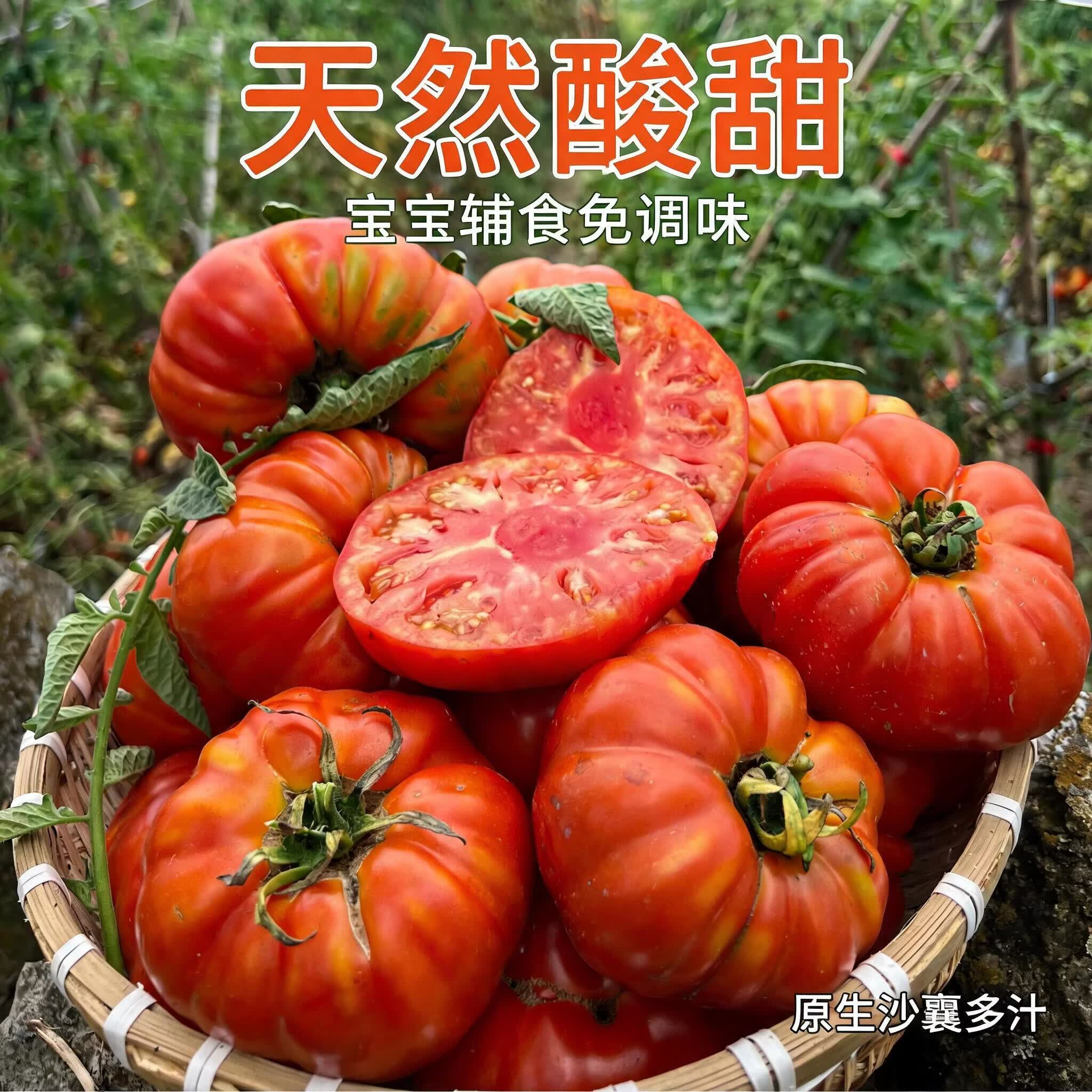 贵州露天马蹄番茄老品种沙瓤自然熟宝宝辅食现摘顺丰包邮 5斤大果(100克以上)普通礼盒装 5斤