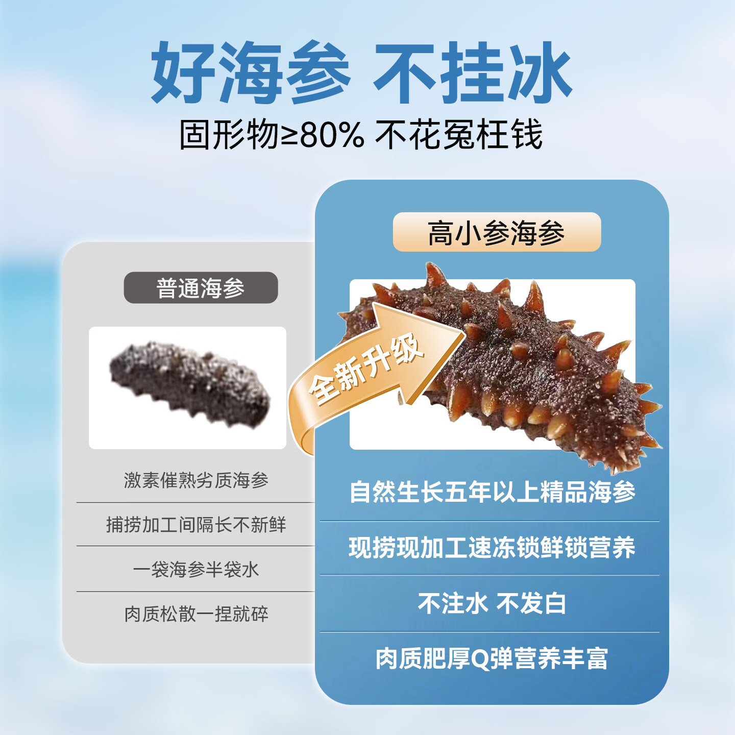 高小参即食鲜食海参高品质独立包装原生态海域礼盒装送礼2.5kg抖音同款 2500g家庭装共25-30头(普通盒装无礼盒)