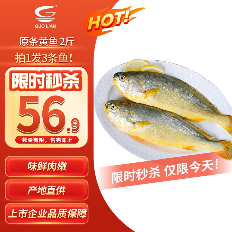 GUO LIAN国联水产 原条黄花鱼净重2斤3条宁德大黄鱼冷冻 生鲜整条纯鱼肉