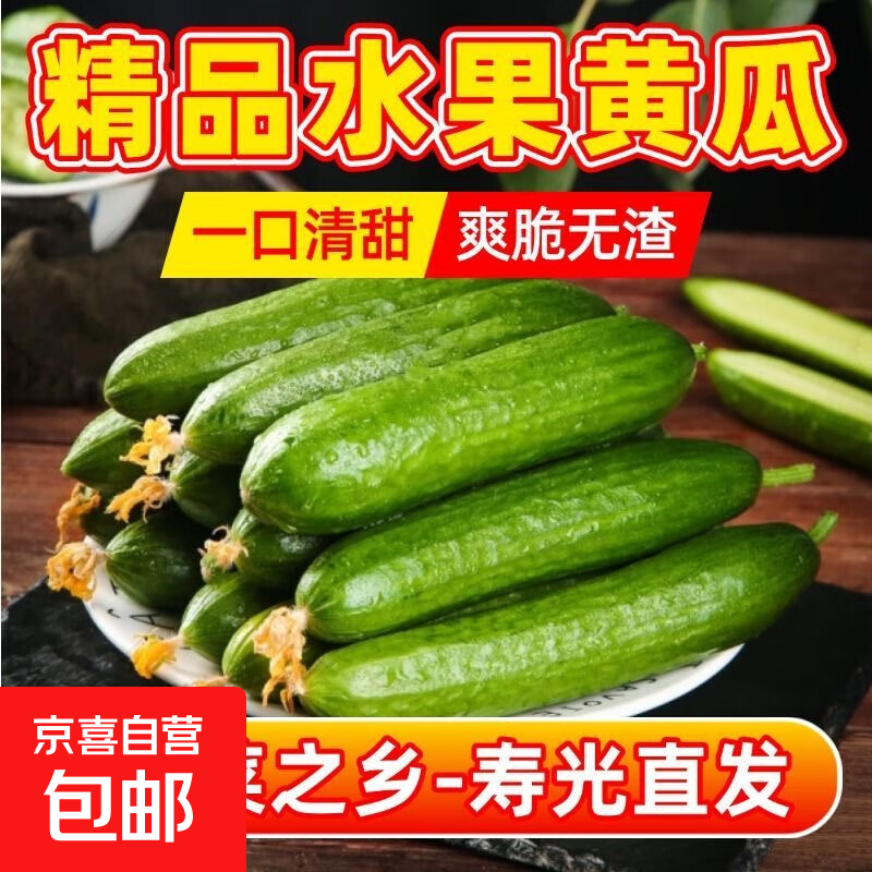 寿光精品水果小黄瓜新鲜采摘无刺脆甜多汁坏果包赔当季美味 精品水果黄瓜带箱4斤净重3.7斤单果70g+
