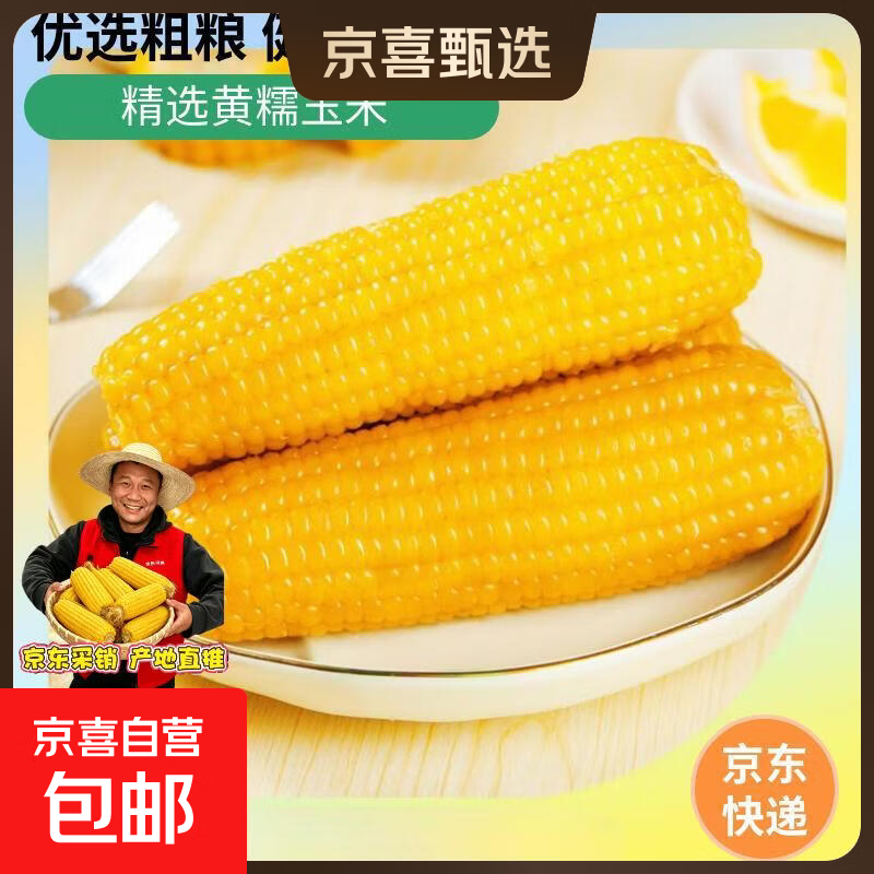 新鲜黄糯玉米真空包装速食玉米低脂粗粮代餐杂粮早餐包邮 福利专项 4棒 200g起/棒