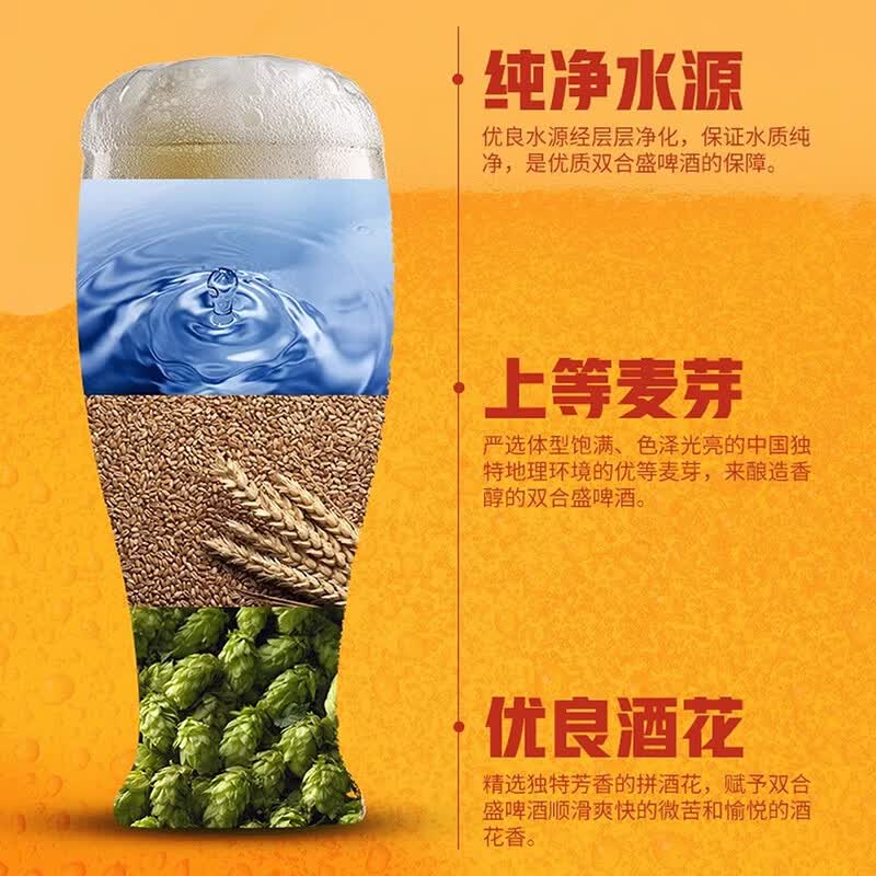 双合盛德式精酿小麦啤酒五星啤酒比利时白啤 德式500ml*12+科迈罗500ml*6听+比利时500ml*6听