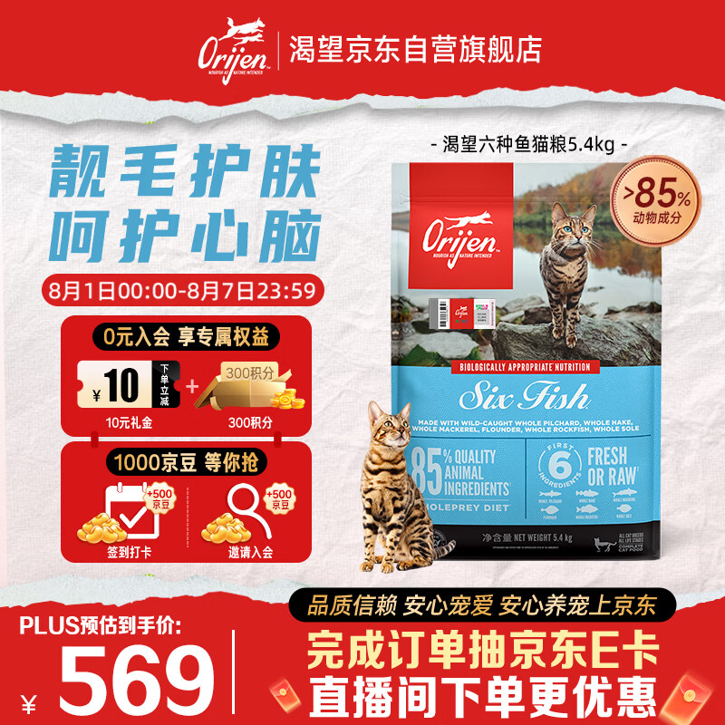 秃头喵星人的逆袭之路——我与主子的一部心酸血泪史~（内附自用好物推荐）