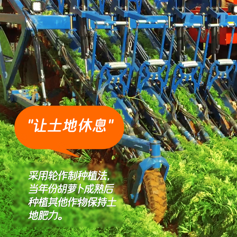可果美日本进口100%胡萝卜汁整箱装果蔬汁健康饮料冷藏蔬菜汁轻断食 100%胡萝卜汁200ml*12盒