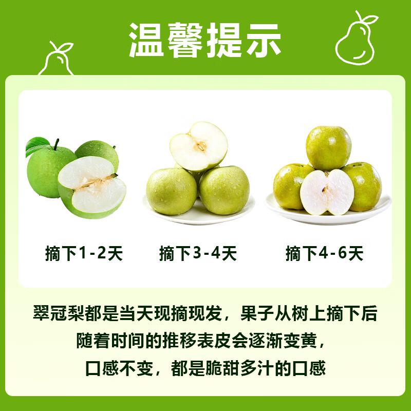 雪芬翠冠梨新鲜现摘 青皮脆梨 脆甜多汁 当季生鲜水果 现摘现发 净重4.5斤【单果250g+】