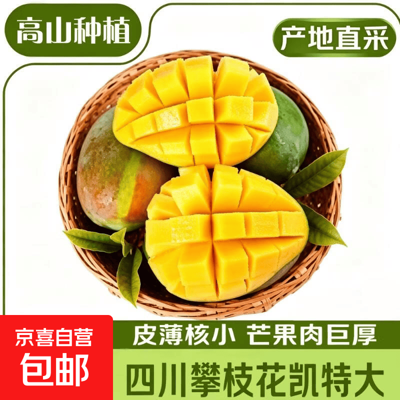 凯特芒果 四川攀枝花芒果当季大青皮黄皮大芒果新鲜水果整箱 净重4.5斤单果300g