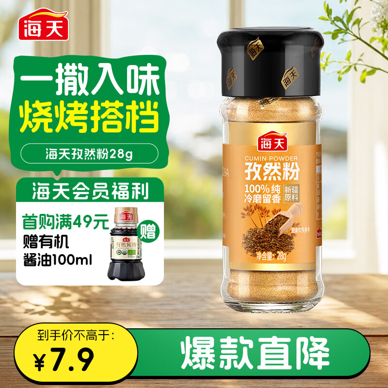 海天 孜然粉28g 纯孜然研制 新疆烧烤料烤肉烤串撒料香辛料调料