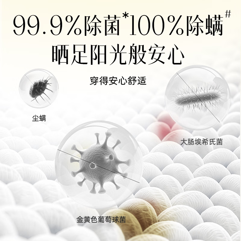 植护内衣洗衣液800g大瓶装内衣裤清洁液洗内裤专用液除菌除螨去血渍 800g*1瓶