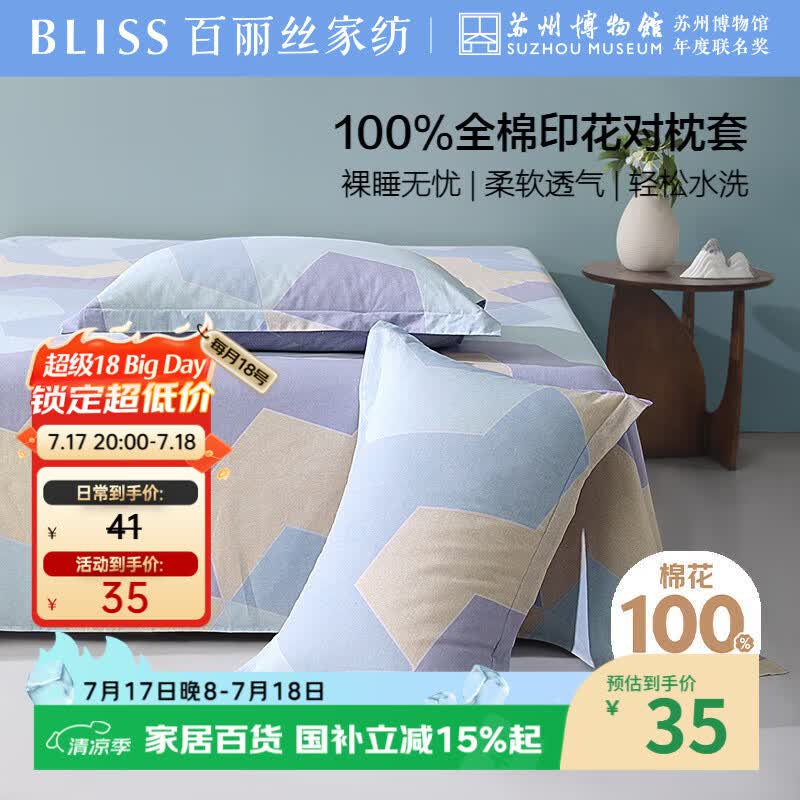 百丽丝水星家纺出品枕头套单件 全棉枕套枕巾纯棉枕头罩枕套一对48x74cm