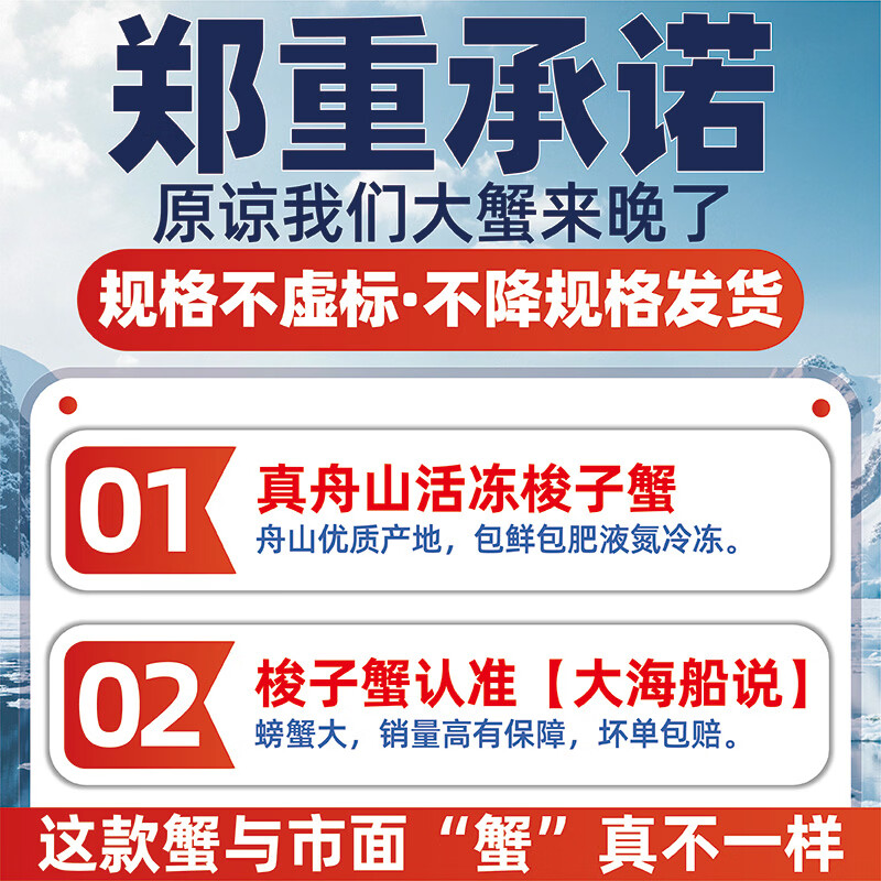 大海船说【冷冻】舟山超大梭子蟹鲜蟹活冻大螃蟹生鲜飞蟹大肉蟹 梭子蟹 3-5两/只【净重5斤】