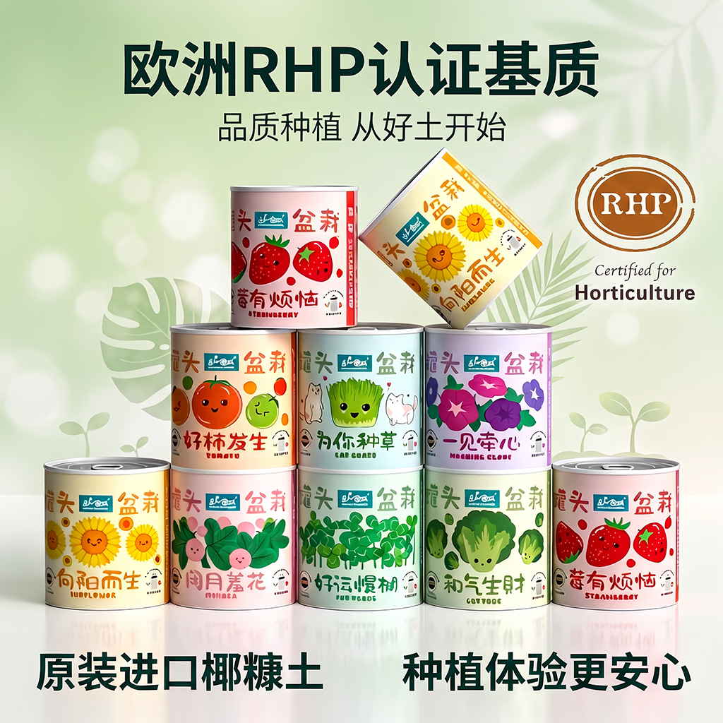 IAM City Farmer番茄罐头盆栽儿童种植小盆栽幼儿园植物绿植科学试验观察种植作业 【和气生财】生菜种植罐头 套装